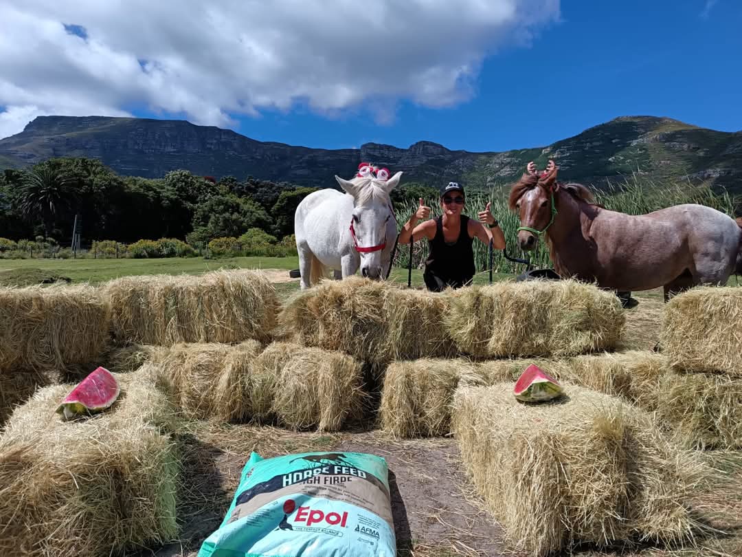 Tom Ro Haven for Equins & Children